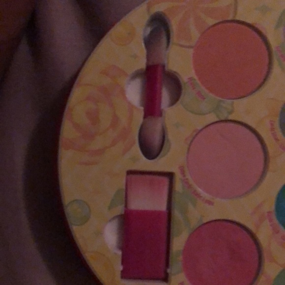 I am selling kids makeup just has eyeshadow am bluse in it two brushes - Picture 4 of 4
